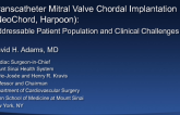 Transcatheter Mitral Valve Chordal Implantation (NeoChord, Harpoon): Addressable Patient Population and Clinical Challenges