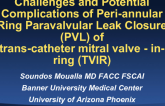 Challenges and Potential Complications of Peri-annular Ring Paravalvular Leak Closure (PVL) Closure of TVIR Transcatheter Mitral Valve-in-Ring