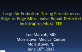 Large Air Embolism During Percutaneous Edge-to-Edge Mitral Valve Repair Detected by Intraprocedural TEE