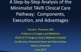 A Step-by-Step Analysis of the Minimalist TAVR Clinical Care Pathway: Components, Execution, and Advantages