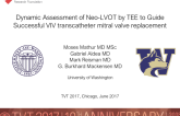 Dynamic Assessment of Neo-Left Ventricular Outflow Tract (LVOT) by Transesophageal Echocardiography (TEE) to Guide Successful Valve-in-Valve (VIV) Transcatheter Mitral Valve Replacement (TMVR)