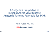 A Surgeon's Perspective of Bicuspid Aortic Valve Disease – Anatomic Patterns Favorable for TAVR