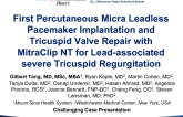 First Percutaneous Micra Leadless Pacemaker Implantation and Tricuspid Valve Repair with MitraClip NT for Lead-Associated Severe Tricuspid Regurgitation