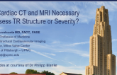 Are Cardiac CT and MRI Necessary to Assess TR Structure or Severity?