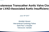 Percutaneous Transcatheter Aortic Valve Closure to Treat Left Ventricular Assist Device-Associated Aortic Regurgitation