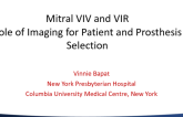 TAV in Mitral Surgical Valves and Rings: Role of Imaging for Patient and Prosthesis Selection