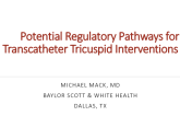 Potential Regulatory Pathways for Transcatheter Tricuspid Interventions