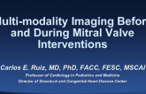 Multi-modality Imaging Before and During Transcatheter Mitral Valve Interventions