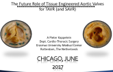 The Future Role of Tissue Engineered Aortic Valves for TAVR (and SAVR)