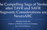 The Compelling Saga of Strokes After TAVR (and SAVR): Diagnosis Considerations and Key Messages From NeuroARC