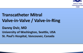 TAV in Mitral Surgical Valves and Rings: Lessons From the VIVID Registry