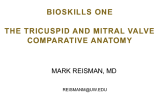 Mitral Bioskills and Imaging