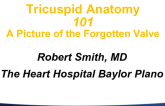 Tricuspid Anatomy 101