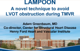 Can We Avoid LVOT Obstruction? LAMPOON Procedure