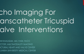 ECHO Imaging for Tricuspid Valve Interventions