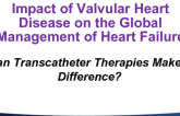 Impact of Valvular Heart Disease on the Global Burden of Heart Failure: Can Transcatheter Therapies Make a Difference?