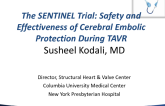 The SENTINEL Trial: Safety and Effectiveness of Cerebral Embolic Protection During TAVR