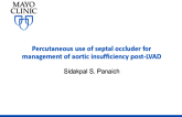 Percutaneous Use of Septal Occluder for Management of Aortic Insufficiency Post-Left Ventricular Assist Device