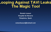 Looping Against TAVI Leaks: The Magic Tool