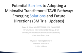 Potential Barriers to Adopting a Minimalist Transfemoral TAVR Pathway: Emerging Solutions and Future Directions (3M Trial Updates)