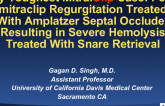 My Toughest MitraClip Case: Peri-mitraclip Regurgitation Treated With Amplatzer Septal Occluder Resulting in Severe Hemolysis Treated With Snare Retrieval