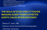 The Role of Echo and CT Fusion Imaging Guide Transcatheter Aortic Valve Interventions?