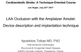 LAA and PFO Closure - Interventional Prevention of Cardioembolic Stroke: A Technique-Oriented Course