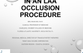 ICE for Trans-septal Puncture in an LAA Occlusion Procedure