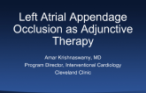 Left Atrial Appendage Occlusion as Adjunctive Therapy 