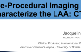Pre-Procedural Imaging to Characterize the LAA: CTA