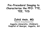 Pre-Procedural Imaging to Characterize the PFO: TTE, TEE, TCD 