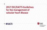 Guidelines for the Management of Valvular Heart Disease