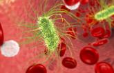 Elevated Cardiovascular Risk May Linger for Several Years After a Severe Infection