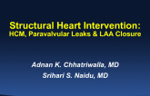 Structural Heart Intervention: HCM, Paravalvular Leaks & LAA Closure