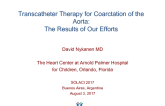Transcatheter Therapy for Coarctation of the Aorta: The Results of Our Efforts