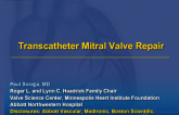 Transcatheter Mitral Valve Repair