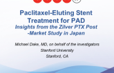 Paclitaxel-Eluting Stent Treatment for PAD: Insights from the Zilver PTX Post-Market Study in Japan