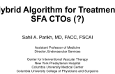 A Hybrid Algorithm for Treatment of SFA CTOs