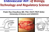 Japan-USA Endovascular AV Fistula