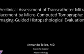 TCT 52: Novel Preclinical Assessment of Transcatheter Mitral Valve Replacement by Micro-Computed Tomography: µCT Imaging-Guided Histopathological Evaluation