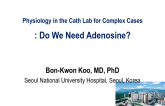 Physiology in the Cath Lab for Complex Cases: Do We Need Adenosine?