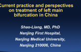 Current Practice and Perspectives on Treatment of Left Main Bifurcation in China