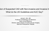 Evaluation of Suspected Coronary Artery Disease With Non-invasive and Invasive Imaging: What Do the US Guidelines and AUC Say?