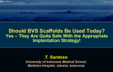 Flash Debate #3: Should BVS Scaffolds Be Used Today? Yes – They Are Quite Safe With the Appropriate Implantation Strategy!