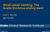 Small Vessel Stenting Snapshot 2: The Svelte Sirolimus-Eluting Stent