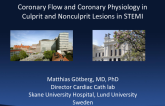 Coronary Flow, Collateral Flow, and Fractional Flow Reserve in Culprit and Nonculprit Lesions in STEMI