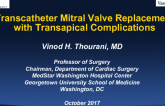 Case Presentation: TMVR With Transapical Complications