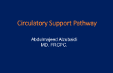 Circulatory Support Pathway