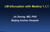 Case Presentation: Left Main Bifurcation (Medina 1,1,1)
