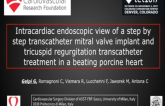 Intracardiac Endoscopic View of a Step by Step Transcatheter Mitral Valve Implant and Tricuspid Regurgitation Transcatheter Treatment in a Beating Porcine Heart